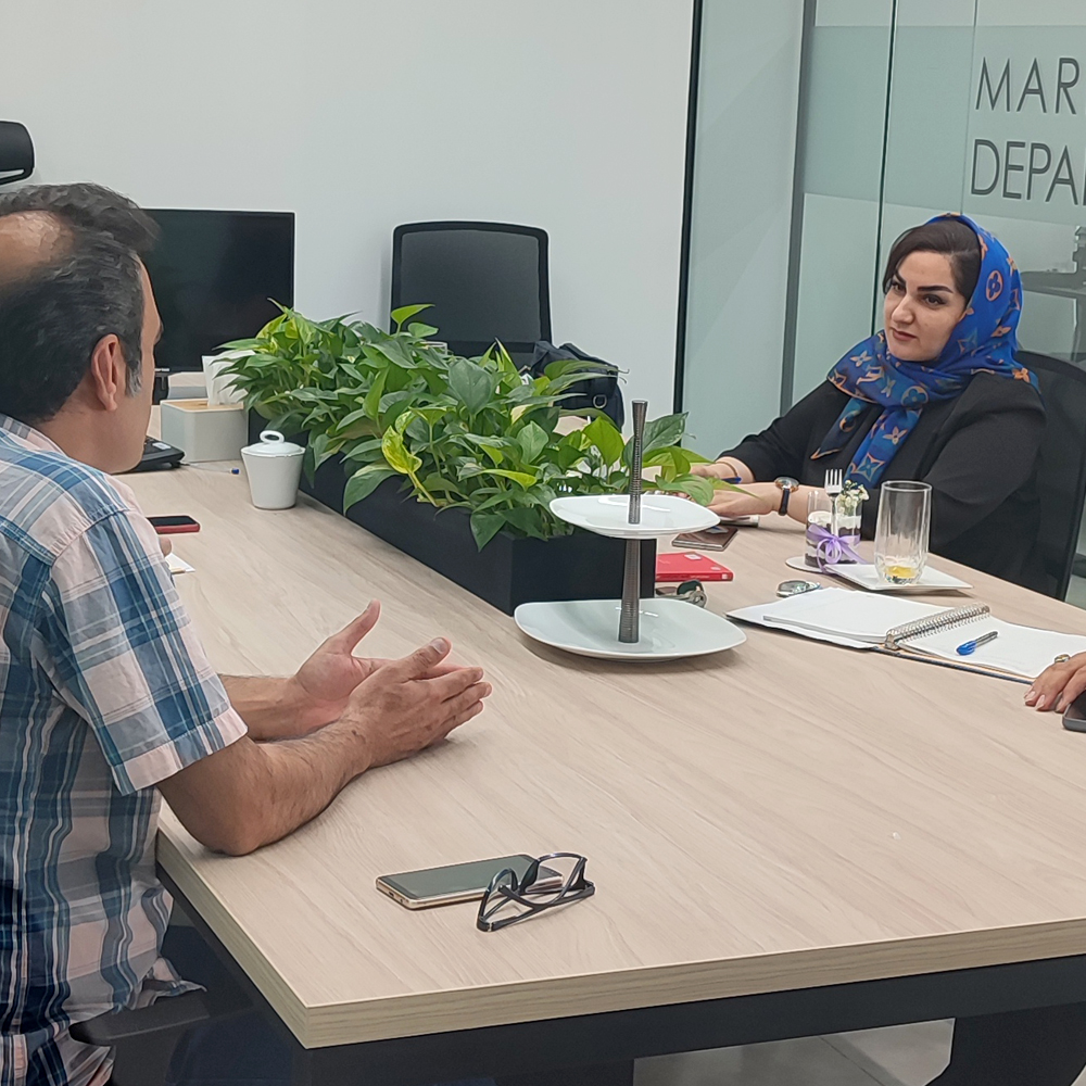 خدمات 9 مشاوره مدیریت کسب و کار, مشاوره سیستم سازی کسب و کار