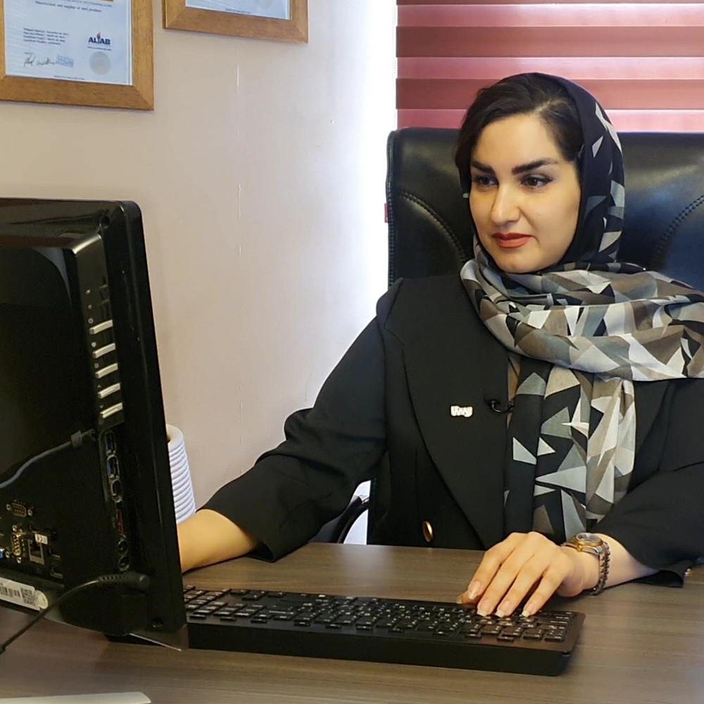 خدمات 10 سیستم سازی, سیستم سازی کسب و کار